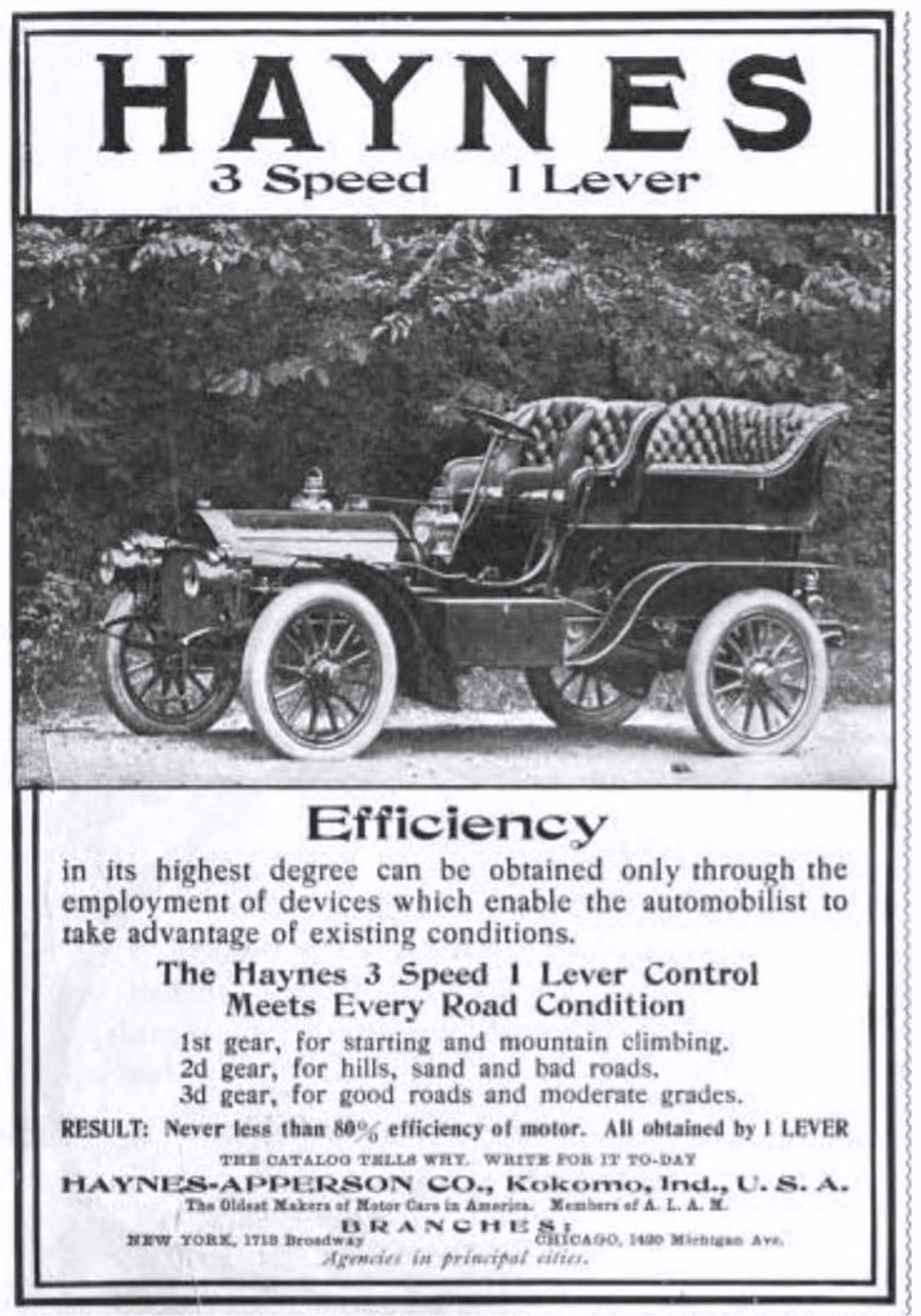 Haynes