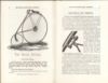 Eagle_Bicycles_1890_0004.jpg