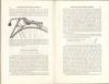 Eagle_Bicycles_1890_0007.jpg