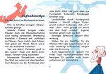05.jpg
