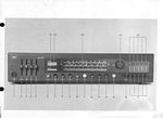regie350-03.jpg