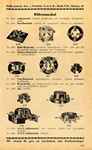 185.jpg