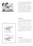 pe3046-09.jpg