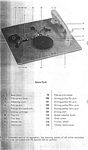 RexA-10.JPG