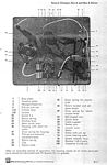 RexA-11.JPG