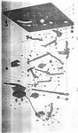 RexA-14.JPG