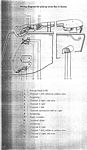 RexA-20.JPG
