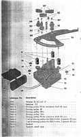 RexA-16.JPG