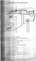 RexA-20.JPG