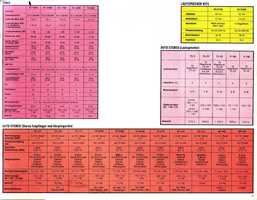 p31.jpg