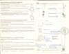Telefunken_TR300_Service_24.jpg