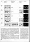 1977-2-094.jpg