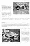 08.jpg