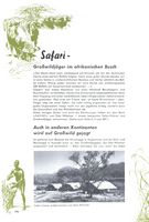198.jpg